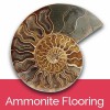 Ammonite Flooring